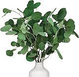 Oning Eukalyptus Getrocknet für Deko, 7-10 Pcs Natürliche Echt Silberdollar...