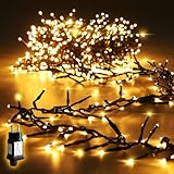 SALCAR 10m 1000er LED Cluster Lichterkette Außen, Weihnachtslichterkette mit 8...