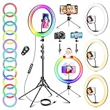 11.5 Zoll Ringlicht mit Stativ Handy, Tisch LED Ring Light Kamera...