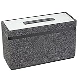 Terris CCM 283 Multiroom Lautsprecher mit W-LAN Streaming, Aux-In & Bluetooth...
