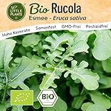 Little Plants BIO Rucola Samen 300 Rucolasamen Esmee Rukola Gemüsesamen für...