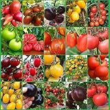 Tomatensamen Set,Tomaten Samen Set,20 Sorten Tomaten Set,Tomatensorten Alte...