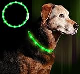 LED Leuchthalsband Hunde Halsband - USB wiederaufladbar - Längenverstellbarer...