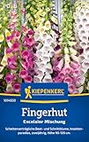 Kiepenkerl Fingerhutsamen Excelsior Mischung 1014650 - Blumensamen für...
