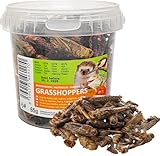 UGF - Getrocknete Heuschrecken 500ml Eimer, Heuschrecken Insekten,...
