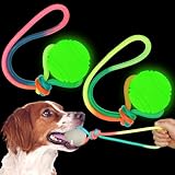 Trainingsball für Hunde, leuchtet im Dunkeln, 6,9 cm, Spielzeug mit 30,5 cm...