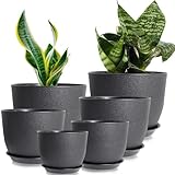 wintfarm Blumentopf, 6Packs Pflanztopf mit Untersetzer, 25/23/20/18/16/13 cm...