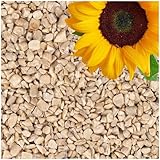 Lyra Pet® | 25 kg Sonnenblumenkerne Geschält Bruch | Wildvogelfutter...