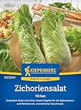 Kiepenkerl Profi-Line Zichoriensalatsamen Virtus 1023240 - Aromatischer...