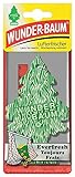 5 x Wunderbaum Lufterfrischer Everfresh 134218