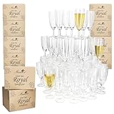 MamboCat 12er Set Royal Sektgläser I 140ml, Höhe 16cm I modernes klares...