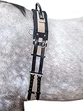 HKM Pferde Longiergurt mit Haltegriff – Gurt zum Longieren aus besonders...