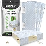 Spinnenfalle – 20er-Pack | Klebefallen für den Innenbereich für Spinnen und...