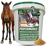 Sojaschrot Pferd - Aufbaufutter Pferd mit Vitamin E Aminosäuren B-Vitamine 6Kg...