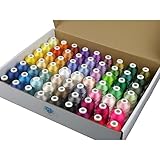 Simthread 63 Brother Farben Polyester Stickmaschine Garn Kit 40 Gewicht für...