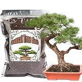 Bonsai-Erde-Mischung gebrauchsfertig, organische Bonsai-Baum-Erde passend für...