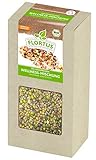 FLORTUS BIO Keimsprossen Wellness-Mischung (Mungbohnen, Alfalfa, Linsen und...