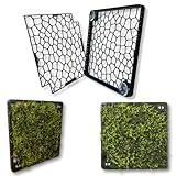 Mooswand Aquarium – Rückwand-Gitter zum Begrünen – Slim Design mit...