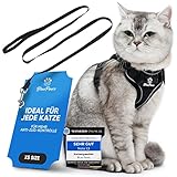 Blue Pawz Katzengeschirr mit Leine - 170cm | Katzengeschirr ausbruchsicher &...