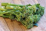 Italienischer Spargel-Brokkoli 'Sessantina' – auch bekannt als Cima di Rapa,...