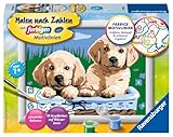 Ravensburger CreArt 27839 - Süße Hundewelpen - Malen nach Zahlen Hunde für...