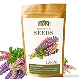 Russell Lupine Seeds - 2000+ Nicht-GVO-Blumensamen für die lebendige...