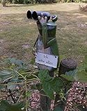 Deko-Impresion Zaunfigur Zaungucker witziger Frosch mit Fernglas Ich Sehe Alles