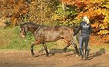 Busse Longierhilfe HO
