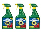 CELAFLOR® Pilzfrei Saprol® Rosen AF 2,25 l- Vollsystemisches,...