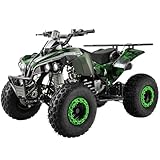 Actionbikes Motors Kinder Quad ATV S-10 125 cc | 4-Takt 125ccm Motor bis...