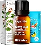 Gya Labs Ätherisches Nelkenöl für Zähne & Zahnfleisch - 100% Natürlich Nelkenöl für Mundpflege, Haare, Haut, Erdiger, würziger Duft (10 ml)