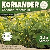 Little Plants BIO Koriander Samen 125 Koriandersamen Kräutersamen für...