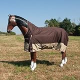 Brama-West Winterdecke Pferd 200g Big Horse - Weidedecke Highneck - Wasserfest -...