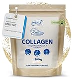 Collagen Pulver - Kollagen Hydrolysat Peptide, Eiweiß-Pulver Geschmacksneutral,...