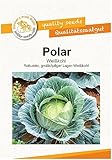 Kohlsamen Polar Weißkohl Portion