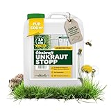 Scheidler Ökokraft Unkraut-Stopp Grundstoff Essig/Acetum 3 Liter –...