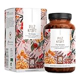 NATURTREU® Pilzkraft 120 Kapseln Pilz Komplex hochdosiert mit Hericium Erinaceus (Lions Mane) Extrakt, Chaga, Reishi Extrakt, Shiitake Extrakt, Beta Glucan, Vitamin B2, B5 & B6