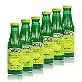 Hitchcock - 6er Pack Premium Limettensaft Pur 100% Direktsaft - Saft aus ca. 20...