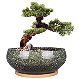 EPFamily Bonsai-Pflanztopf aus Keramik, glasiert, flach, Sukkulenten-Übertopf...