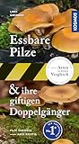 Essbare Pilze und ihre giftigen Doppelgänger