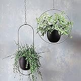 ARSBORUI Hängend Blumenampel Metall Blumentopf Modern Deko Pflanzenampel Boho...