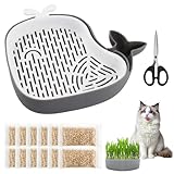 Katzengras Samen Set,15g x 10 Packungen,mit Katzengras Keimschale,Sprossen...