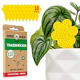Super Ninja Trauermücken Bekämpfen - 10er Pack, hochwirksame Gelbtafeln für...