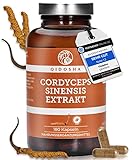 QIDOSHA® Cordyceps sinensis Extrakt Kapseln, TESTSIEGER 02/2023*, 180 Stk, 2000mg Raupenpilz (CS-4) Extrakt pro Tagesdosis, 500mg je Kapsel, 15:1 Extrakt, laborgeprueft, Cordyceps Kapseln hochdosiert