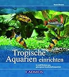 Tropische Aquarien einrichten: In zwölf Wochen zum gelungenen...