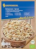 Kiepenkerl Profi-Line BIO Keimsprossen Süßlupine - Bio-Samen zur Anzucht von...