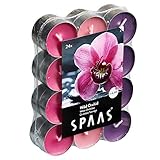 Spaas Pack de chauffe plats parfumées Orchidée Sauvage 24 Duft-Teelichter...