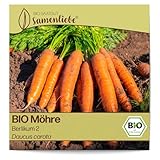 Samenliebe BIO Möhren Samen alte Sorte Berlikum 2 Karotte Wintermöhre orange...