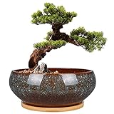 EPFamily Bonsai-Pflanztopf aus Keramik, glasiert, flach, Sukkulenten-Übertopf...