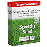 Pronto Seed Rasensamen – 1,4 kg Premium-Qualität, 84 m2 Abdeckung für...